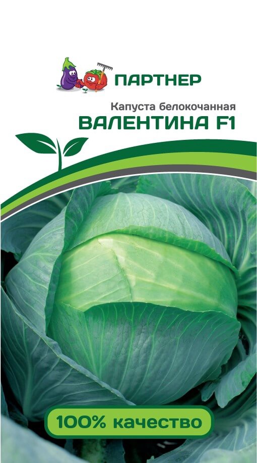 Семена Капуста б/к Валентина F1 (0,2г)  
