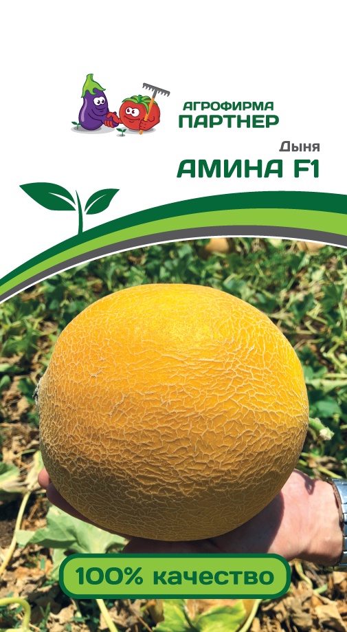 Семена Дыня Амина F1 (5шт) 