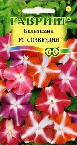 Бальзамин Созвездия Уоллера F1, см 5 шт., 