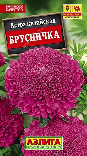 Семена Астра Брусничка, 0.2г 