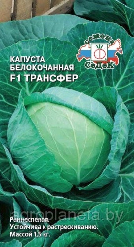 Капуста ТРАНСФЕР F1, 0.3г