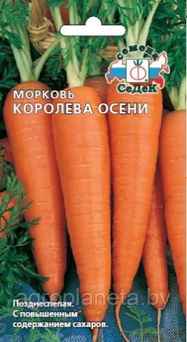 Морковь КОРОЛЕВА ОСЕНИ, 2г