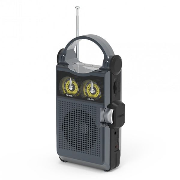 Радиоприемник RITMIX Сardon арт. RPR-333 