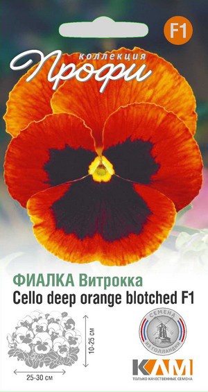 Фиалка Виттрока (Виола Виттрока) Целло Дееп Оранже Блотчед F1, 10 шт