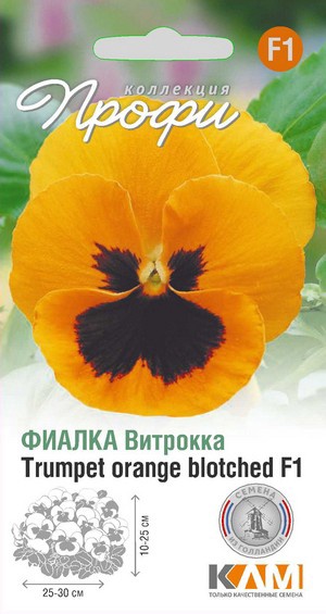 Фиалка Виттрока (Виола Виттрока) Трумпет Оранже Блотчед F1, 10 шт