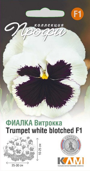 Фиалка Виттрока (Виола Виттрока) Трумпет Уайт Блотчед F1, 10 шт