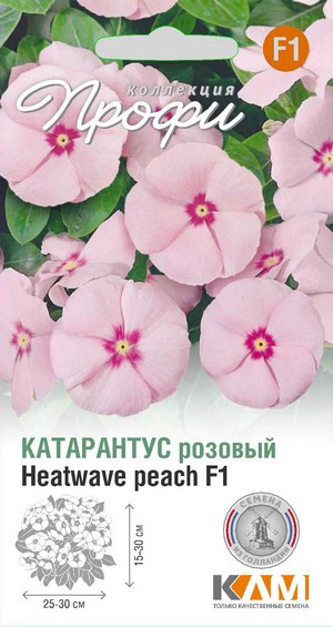 Катарантус розовый Хотвэйв Пеач F1, 10 шт
