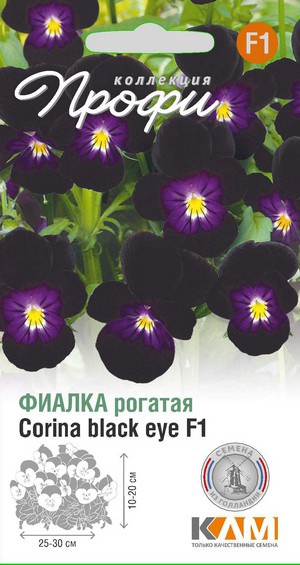 Фиалка рогатая Корина Блэк Ай F1, 10 шт