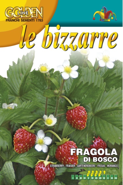 Семена Земляника Лесная 0,35г Franchi 