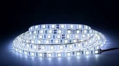 Светодиодная лента 2835 240leds/m 24W 6000K White led strips IP33