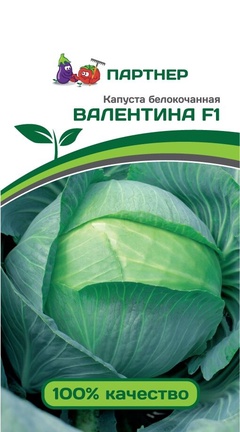 Семена Капуста б/к Валентина F1 (0,2г)  
