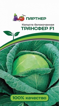 Семена капуста б/к Трансфер 2г 
