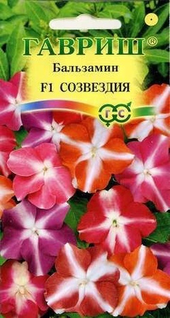 Бальзамин Созвездия Уоллера F1, см 5 шт., 