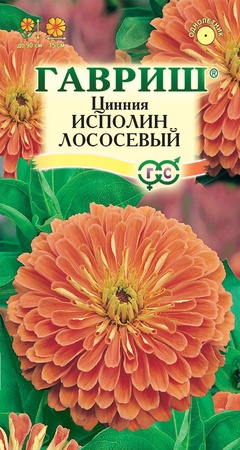 Цинния Исполин лососевый 0,3 г 
