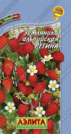 Семена Земляника Регина, 0.04г 