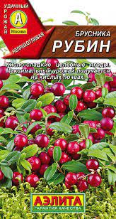 Семена Брусника Рубин, 1г 