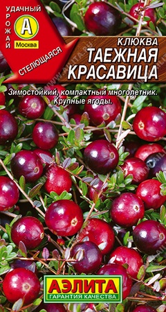 Семена Клюква крупноплодная Таежная красавица 