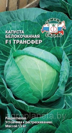 Капуста ТРАНСФЕР F1, 0.3г