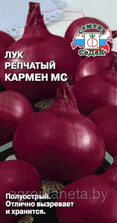 Лук КАРМЕН МС, 1г