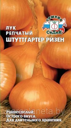 Лук ШТУТТГАРТЕР РИЗЕН, 1г