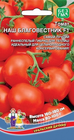 Томат НАШ БЛАГОВЕСТ F1, 12 шт