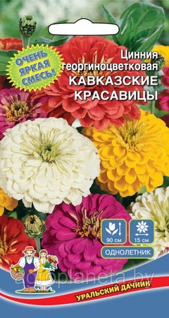 Цинния георгиноцветковая КАВКАЗСКИЕ КРАСАВИЦЫ, 0,25 г