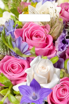 Пакет полиэтиленовый "Лирика" 30см х 20см