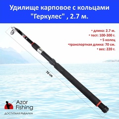 Удилище карповое с кольцами AZOR FISHING Геркулес 100-300гр 