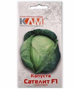 Капуста белокочанная Сателит F1, 10 шт