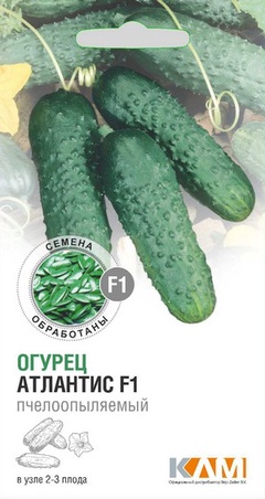 Огурец Атлантис F1, 20 шт