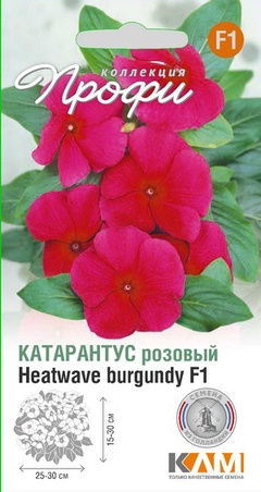 Катарантус розовый Хотвэйв Бургунди F1, 10 шт