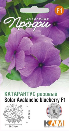 Катарантус розовый Солар Аваланче Блуеберри F1, 10 шт