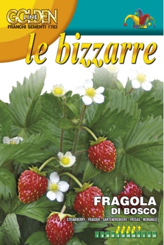 Семена Земляника Лесная 0,35г Franchi 